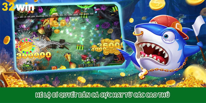 Hé lộ bí quyết bắn cá cực hay từ các cao thủ