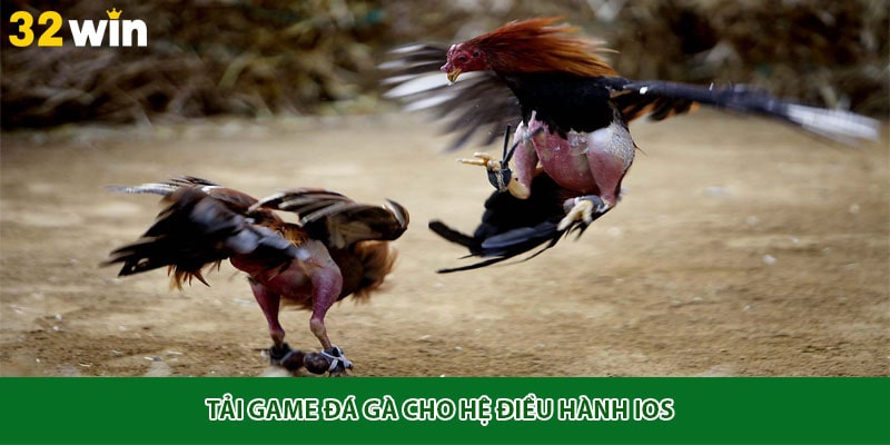Tải game đá gà cho hệ điều hành IOS