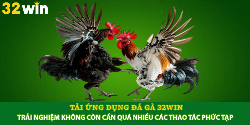 Tải ứng dụng đá gà